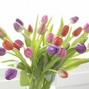 Meet your Posher, Bill